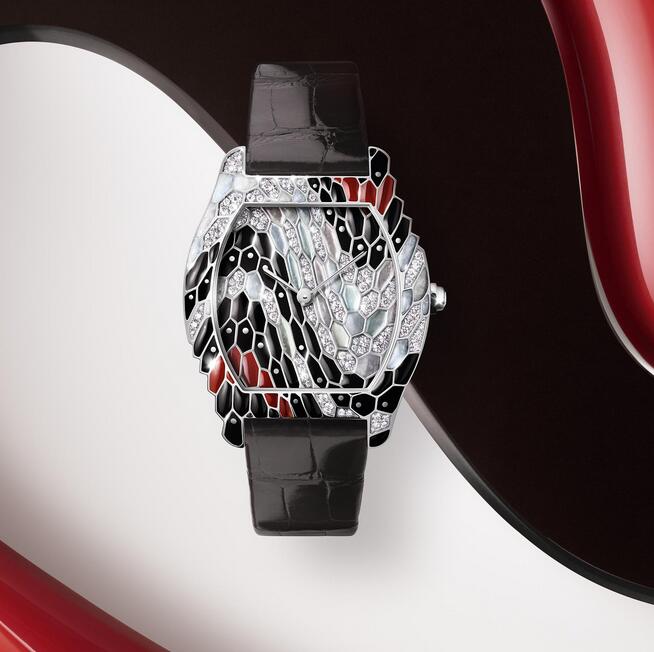 Best Luxury Cartier Replica Watches’ Story Of The Turtle And The Snake